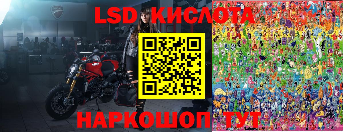 Бийск  где найти наркотики  Вход с VPN  Марки N-bome 1500мкг  Марки N-bome 1500мкг 
