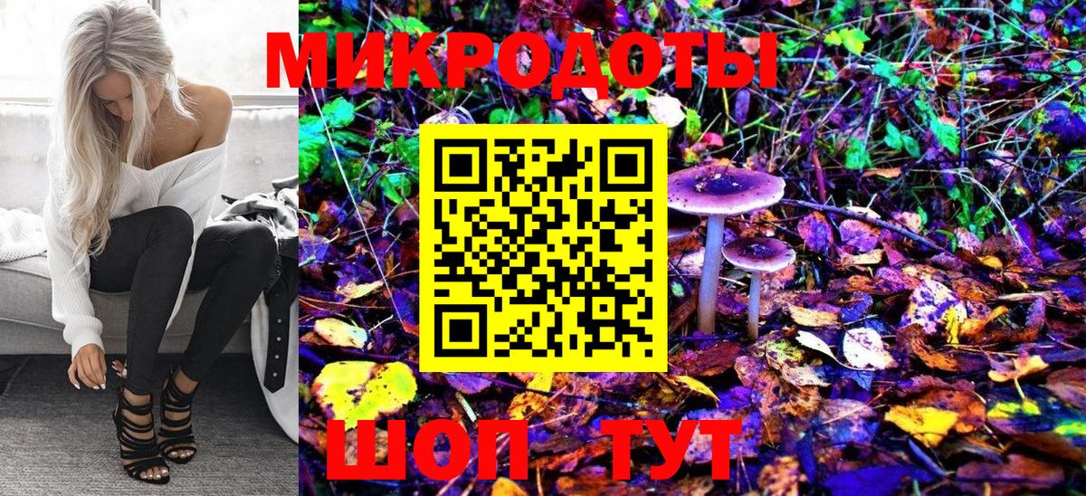 Галлюциногенные грибы Psilocybe Бийск