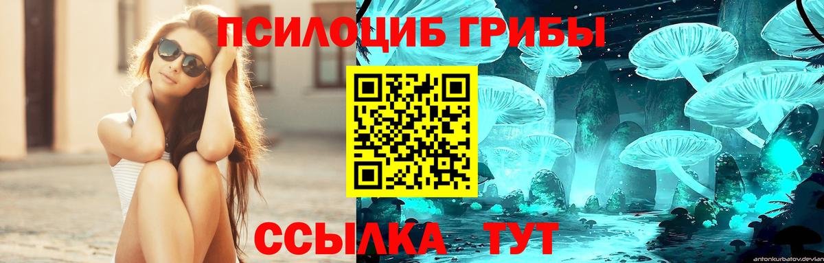 Псилоцибиновые грибы MAGIC MUSHROOMS  Вход с VPN  Бийск 